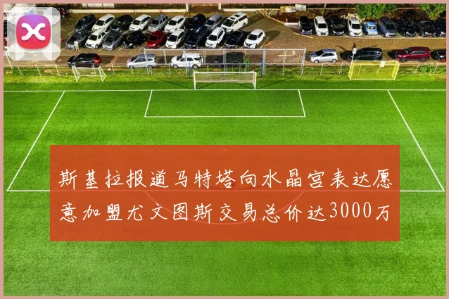 斯基拉报道马特塔向水晶宫表达愿意加盟尤文图斯交易总价达3000万欧元