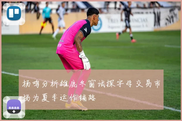 杨鸣分析雄鹿冬窗试探字母交易市场为夏季运作铺路